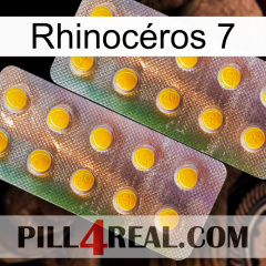 Rhinocéros 7 new10